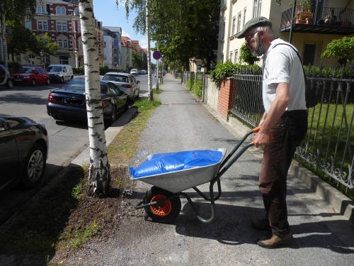 Parents For Future helfen Straßenbäumen For Future